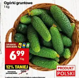 Delikatesy Centrum Ogórki gruntowe oferta