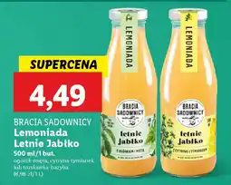 Lidl BRACIA SADOWNICY Letnie Jabłko oferta