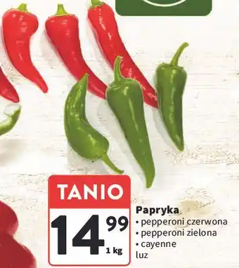 Intermarche Papryka cayenne oferta