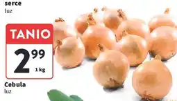 Intermarche Cebula oferta