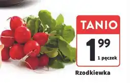 Intermarche Rzodkiewka oferta