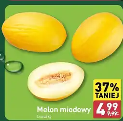 ALDI Melon oferta
