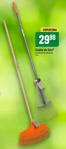 Grabie do liści