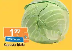 E.Leclerc Kapusta biała oferta