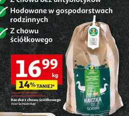 Auchan Kaczka ze ściółki Auchan Pewni Dobrego oferta