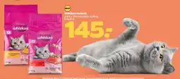 Netto Whiskas tørkost oferta