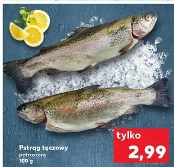 Kaufland Pstrąg tęczowy patroszony oferta