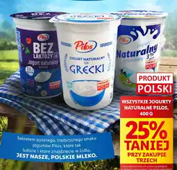 Lidl Jogurt grecki Pilos oferta