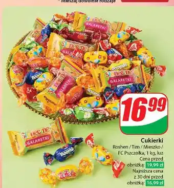 Dino Galaretki słoneczne Pszczółka oferta