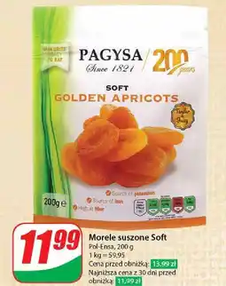 Dino Morele soft Pagysa oferta