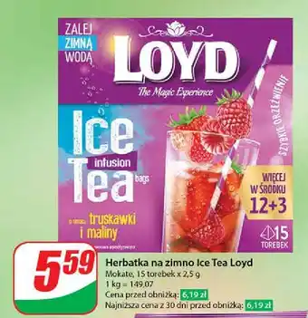 Dino Herbata na zimno strawberry & raspberry Loyd Tea The Magic Experience oferta