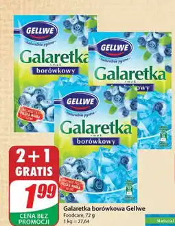 Dino Galaretka borówkowa Gellwe oferta