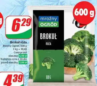 Dino Brokuły Mroźny Ogród oferta