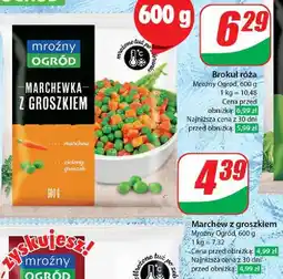 Dino Marchewka z groszkiem Mroźny Ogród oferta
