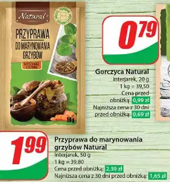 Dino Przyprawa do marynowania grzybów Natural oferta