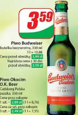 Dino Piwo Budweiser oferta