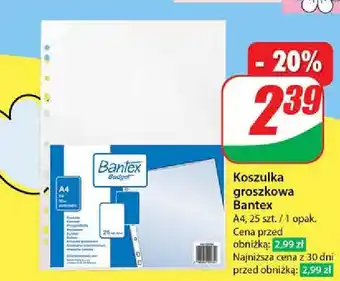 Dino Koszulki a4 Bantex oferta