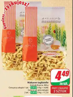 Dino Makaron wałkowany Animak kolekcja makaronów oferta