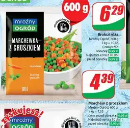Dino Marchewka z groszkiem oferta