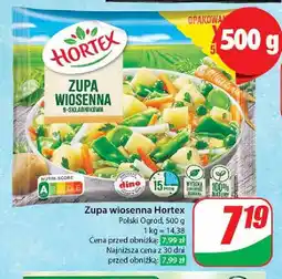 Dino Zupa wiosenna 9-składnikowa Hortex oferta