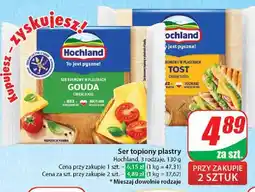 Dino Ser topiony tost Hochland oferta