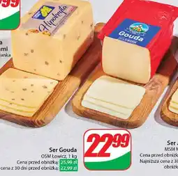 Dino Ser gouda Osm łowicz oferta
