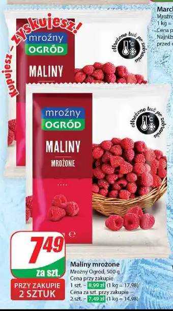 Dino Maliny Mroźny ogród oferta