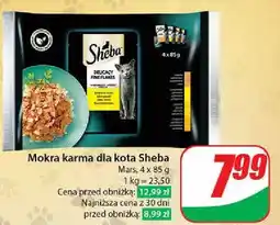 Dino Karma dla kota smaki drobiowe Sheba Delicacy In Jelly oferta
