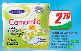 Dino Podpaski camomile Carin oferta