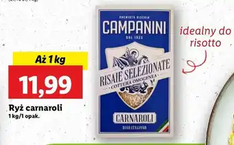 Lidl Ryż carnaroli Campanini oferta