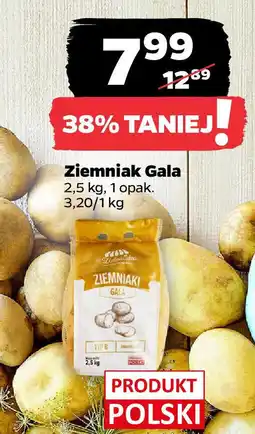 Netto Ziemniaki gala oferta