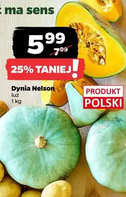 Netto Dynia nelson oferta