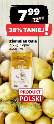 Netto Ziemniaki gala Z Zieleniaka Netto oferta