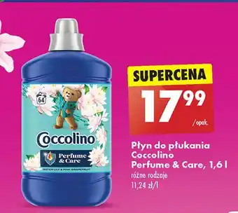 Biedronka Płyn do płukania waterlily pink grapefruit Coccolino Perfume & Care oferta