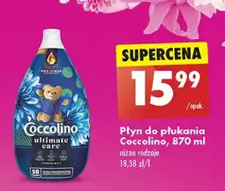 Biedronka Płyn do płukania fresh sky Coccolino Ultimate Care oferta