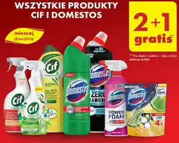 Biedronka Spray do czyszczenia floral fiesta Domestos Power Foam oferta