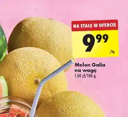 Biedronka Melon galia oferta