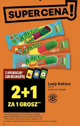 Delikatesy Centrum Lody Kaktus oferta