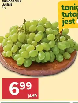 Stokrotka Winogrona oferta