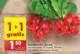 Biedronka Rzodkiewka oferta