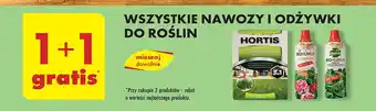 Biedronka Nawóz do roślin zielonych Biohumus oferta