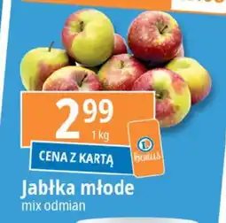 E.Leclerc Jabłka młode oferta