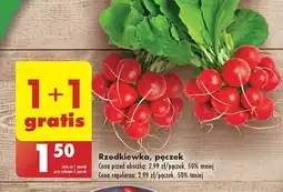 Biedronka Rzodkiewka oferta