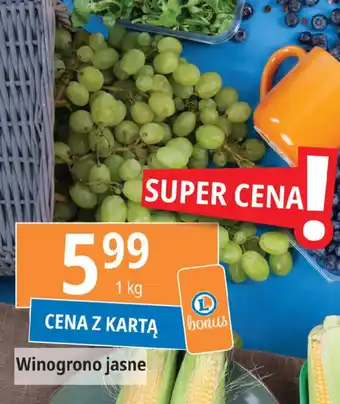 E.Leclerc Winogrono jasne oferta