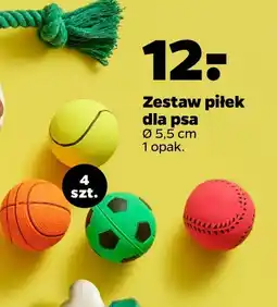 Netto Zestaw dla psa oferta