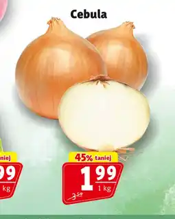 Prim Market Cebula oferta