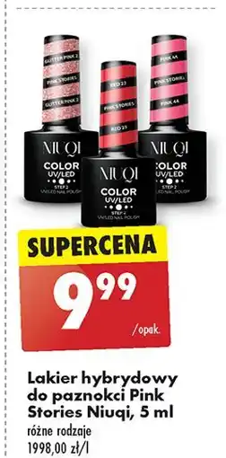 Biedronka Lakier hybrydowy Niuqi oferta