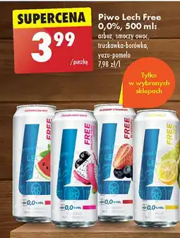 Biedronka Piwo Lech Free Truskawka Borówka oferta