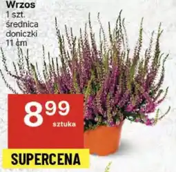Wrzos