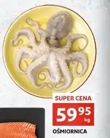 Auchan Ośmiornica oferta